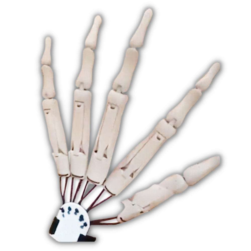 Fake skeleton hands