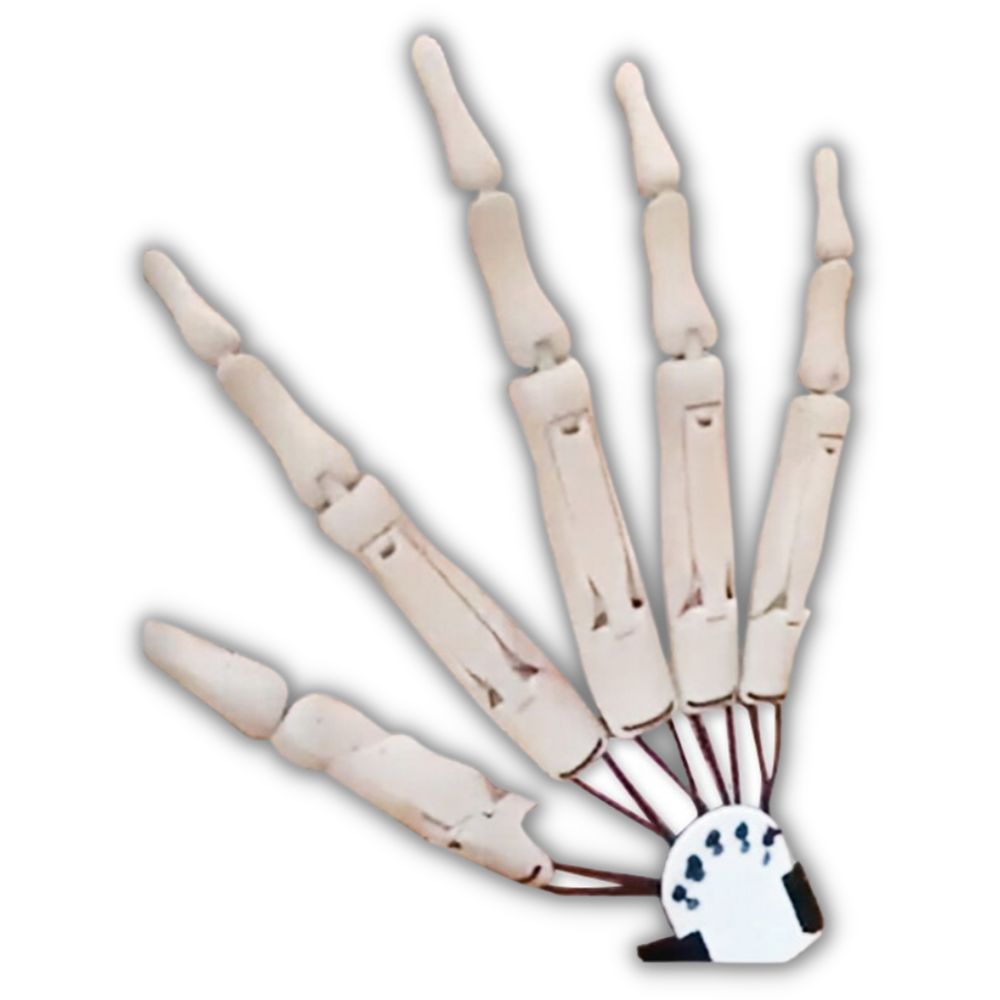 Fake skeleton hands