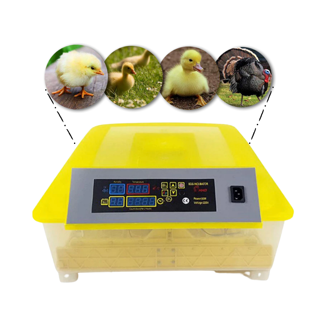 Automatisk egginkubator til 48 egg - Ozerty
