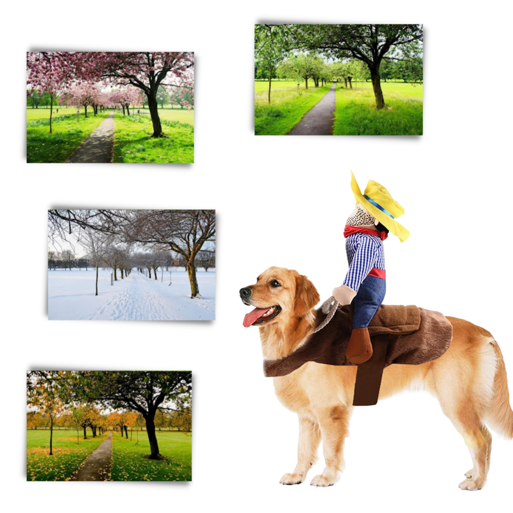 Cowboy hundekostyme - Ozerty