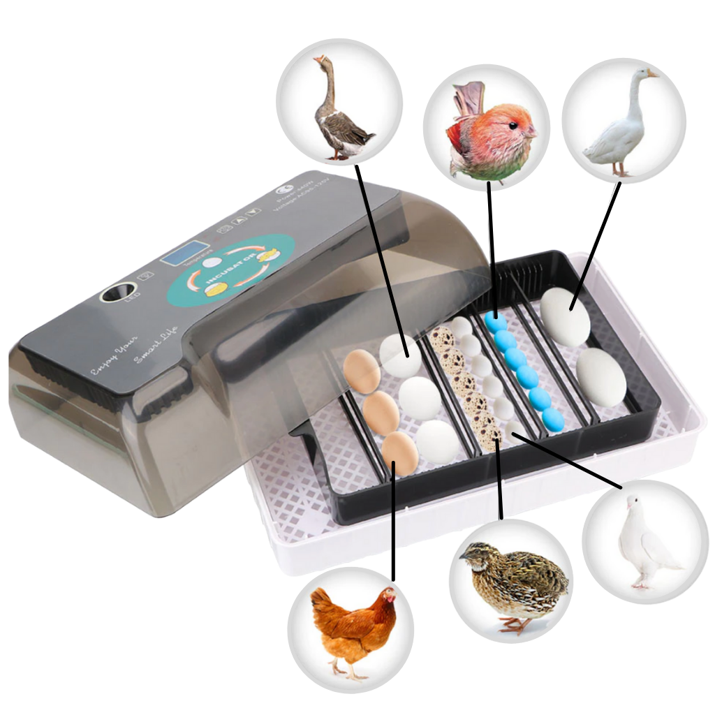Digital automatisk egginkubator - Ozerty