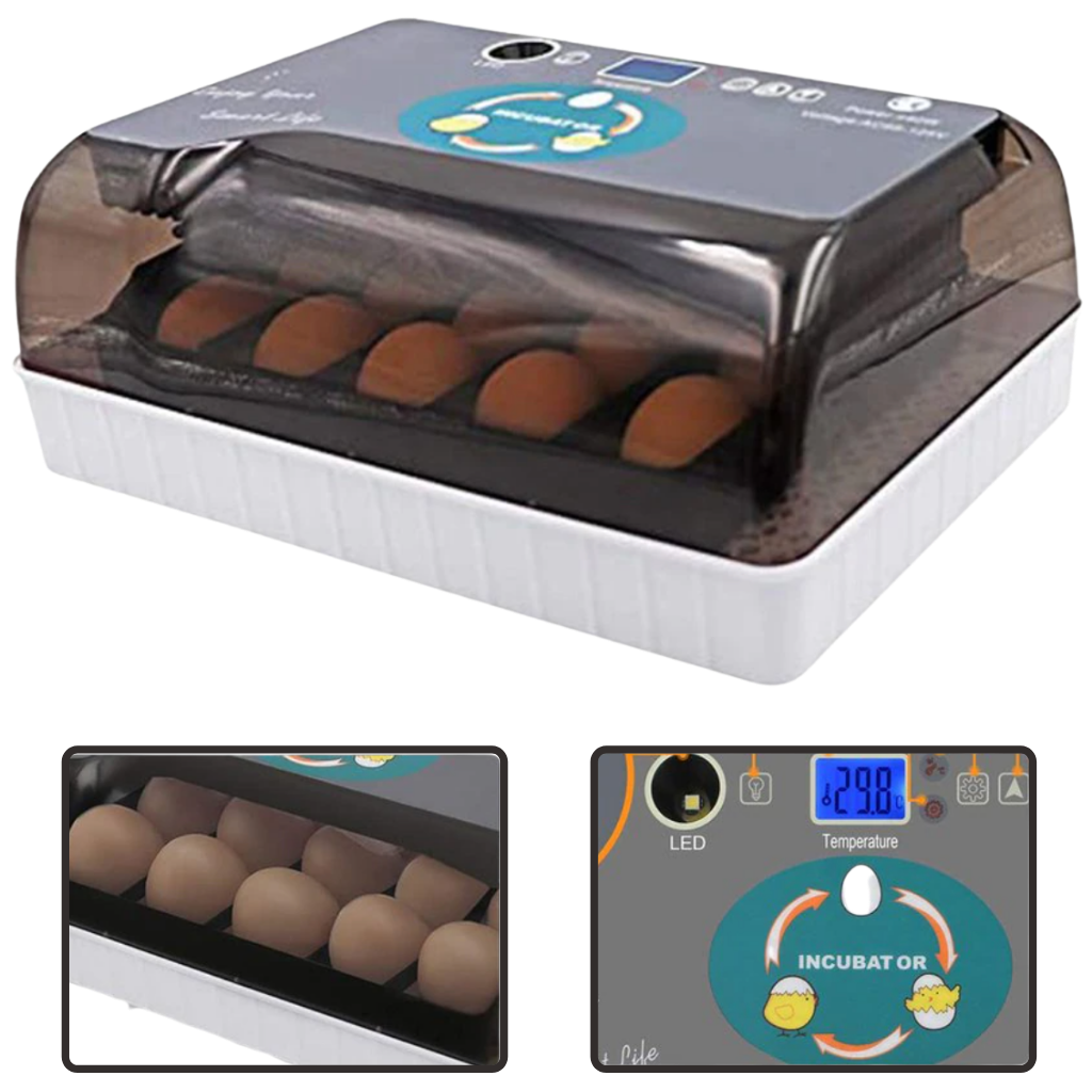 Digital automatisk egginkubator - Ozerty