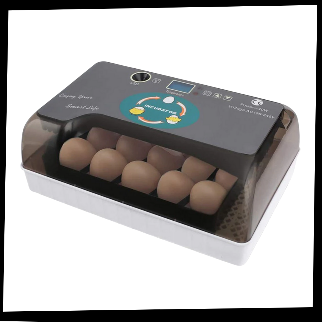 Digital automatisk egginkubator - Ozerty