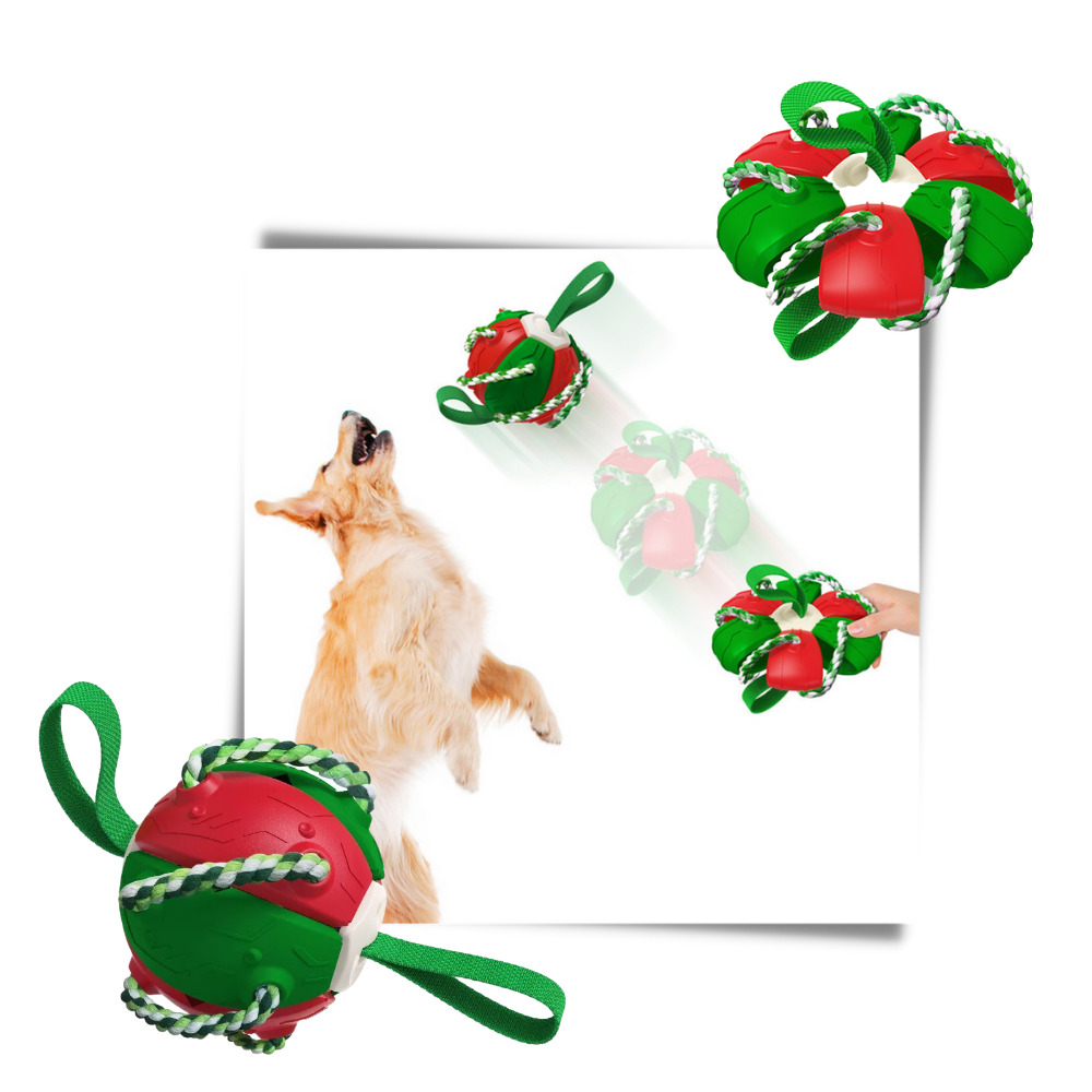 Frisbeeball hundeleke - Ozerty