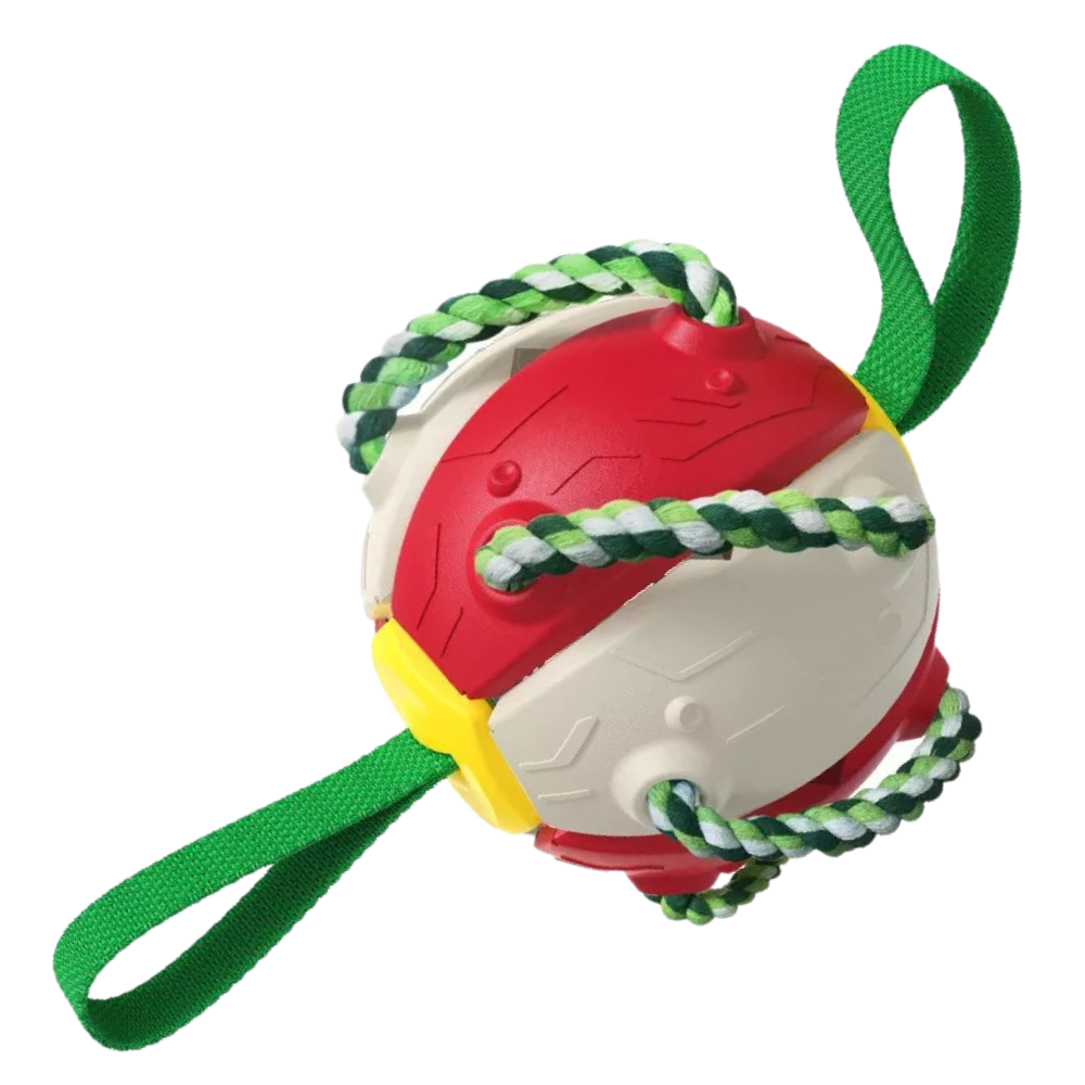 Frisbeeball hundeleke