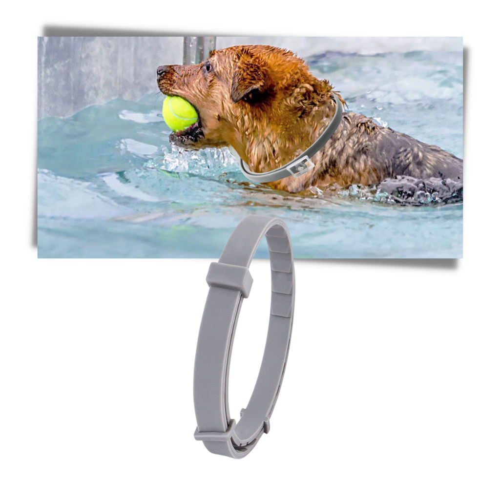 Anti-loppehalsbånd til kjæledyr - Ozerty