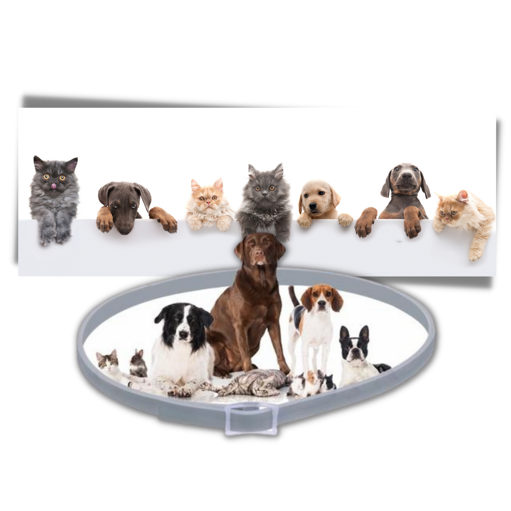 Anti-loppehalsbånd til kjæledyr - Ozerty