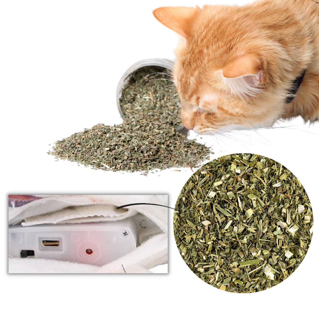 Sprellende fisk katteleke - Ozerty