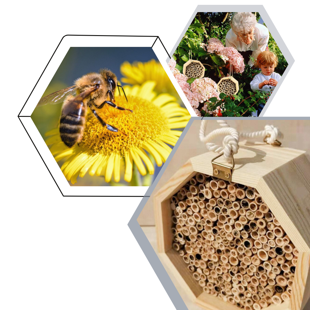 Sekskantet trehus til bier - Ozerty