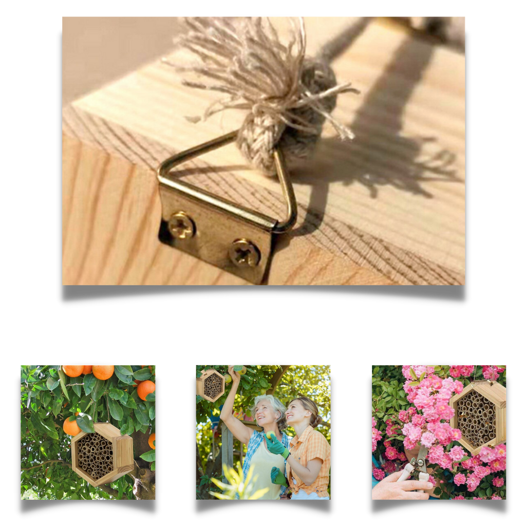 Sekskantet trehus til bier - Ozerty