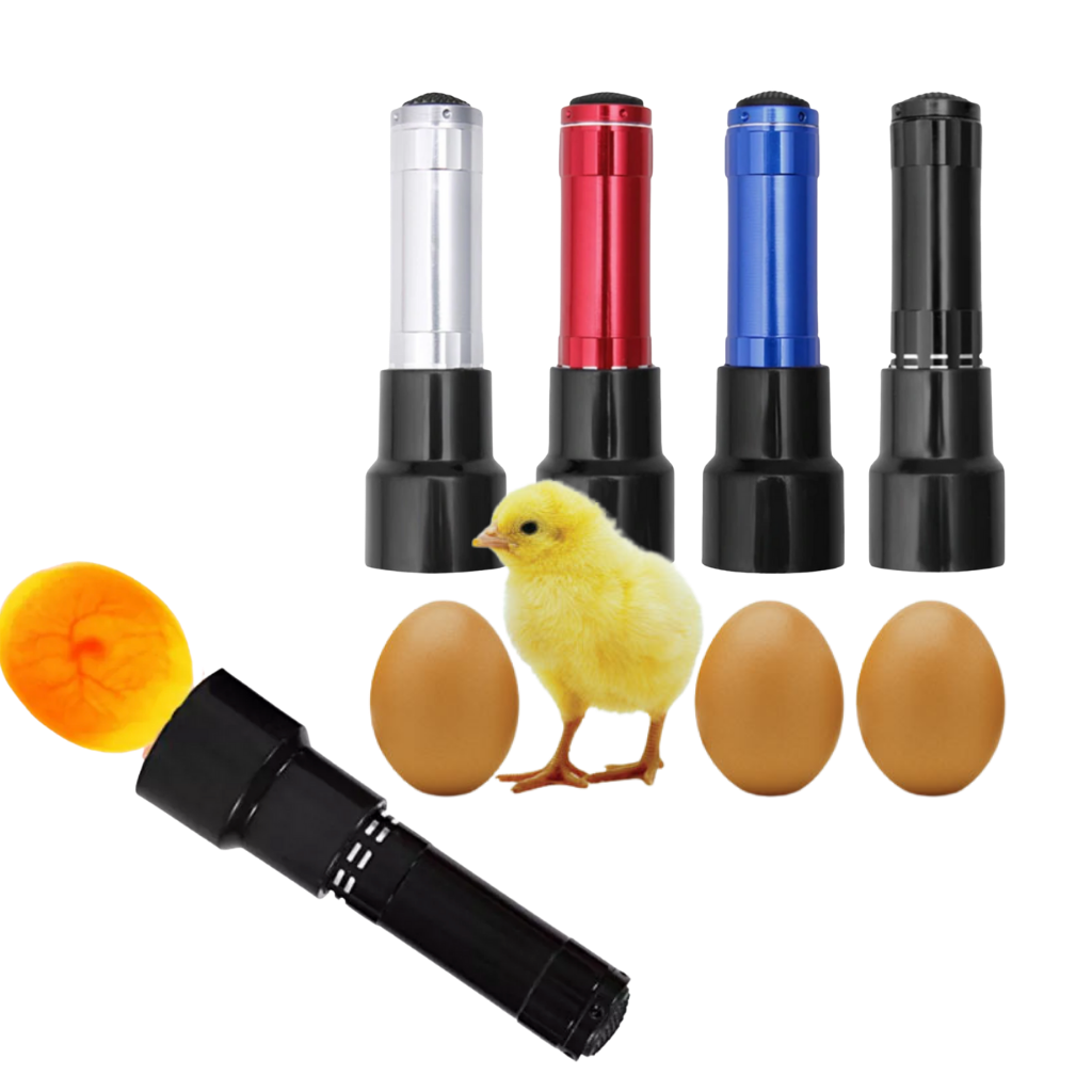 Eggelykt - Ozerty