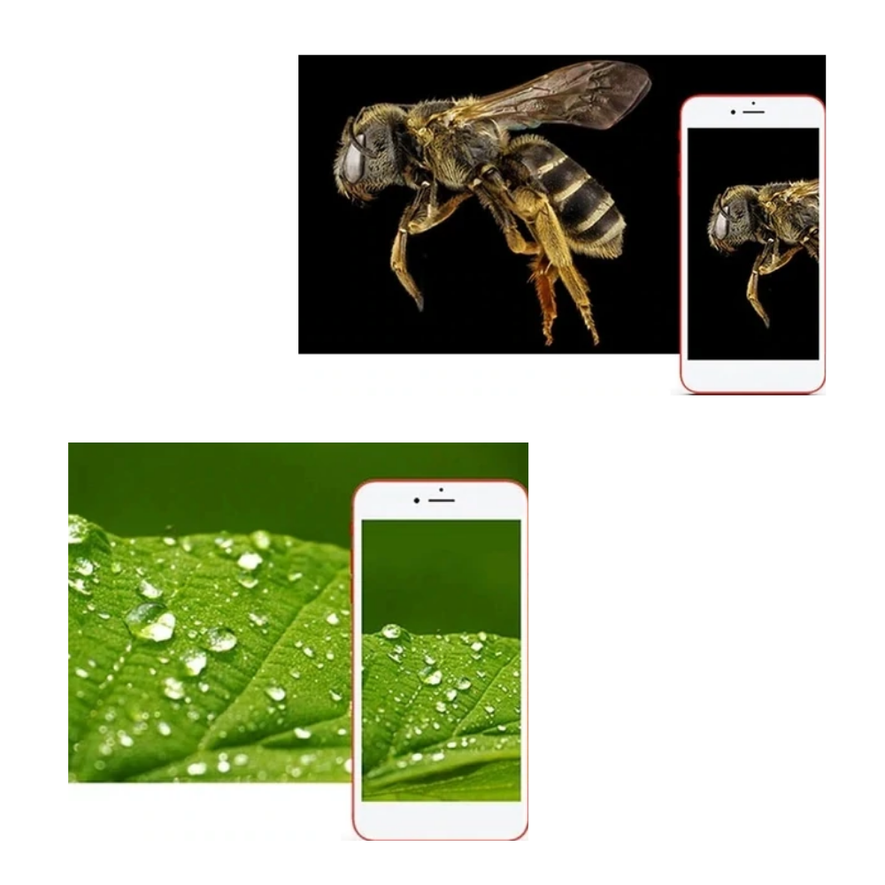 USB digitalt mikroskop med LED - Ozerty