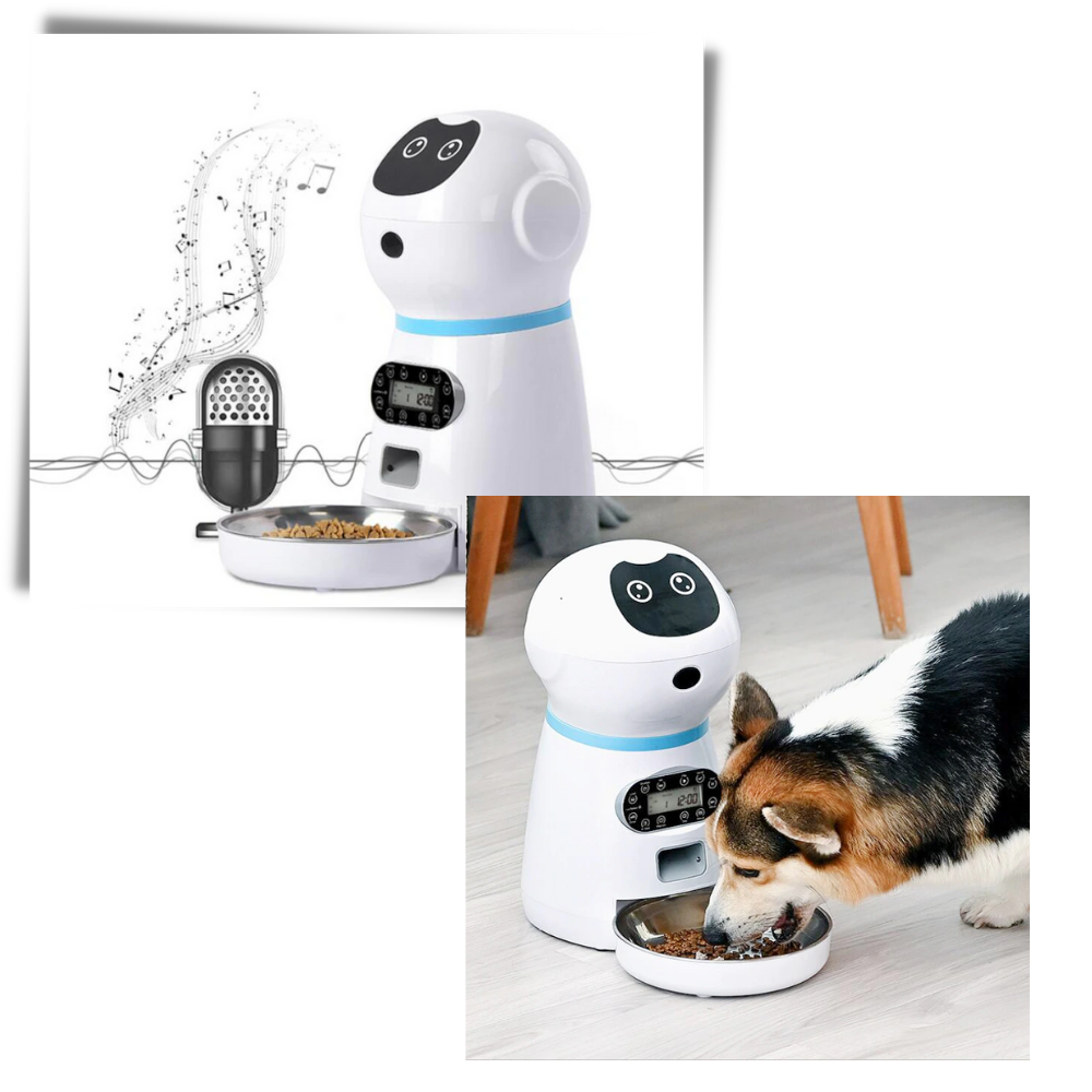 Automatisk matdispenser for kjæledyr  - Ozerty
