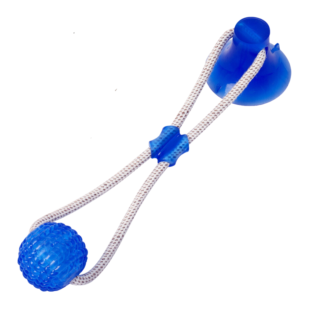 Ball dog toy with suction cup for dogs