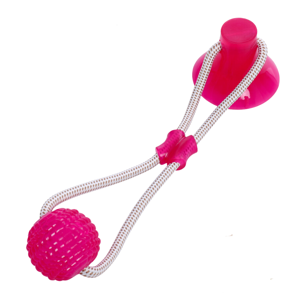 Ball dog toy with suction cup for dogs