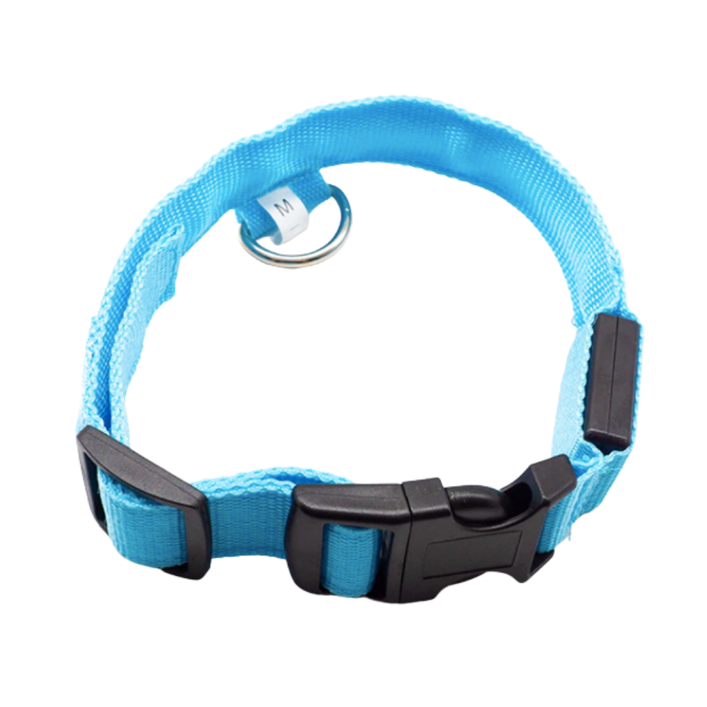 Dyrehalsbånd med LED lys USB oppladbart