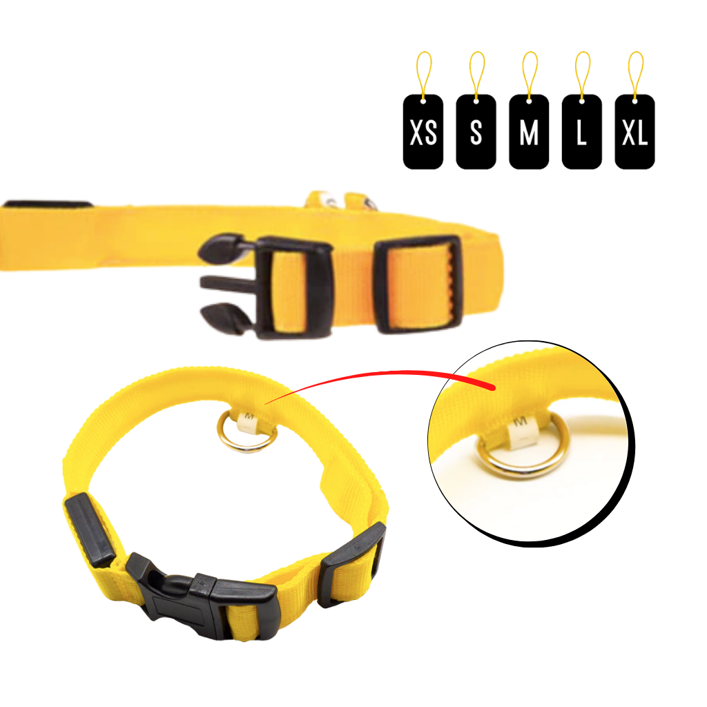 Dyrehalsbånd med LED lys USB oppladbart - Ozerty