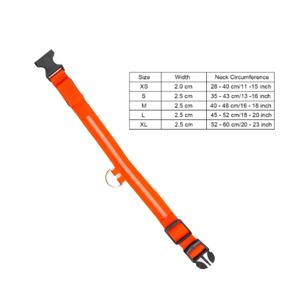 Dyrehalsbånd med LED lys USB oppladbart - Ozerty