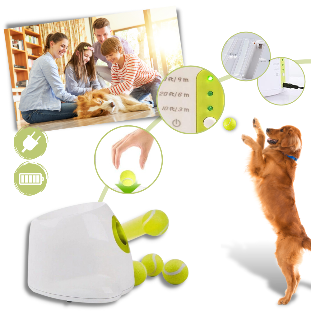 Automatisk ballkaster for hund
 - Ozerty