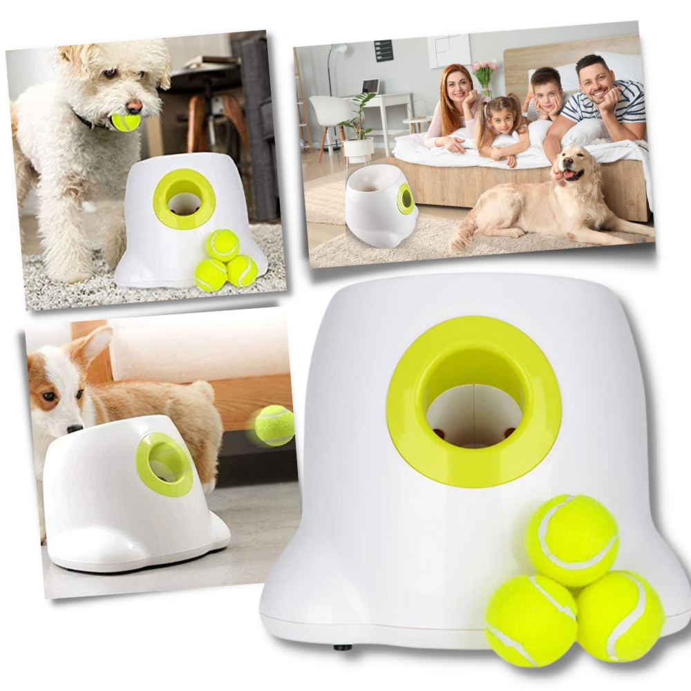Automatisk ballkaster for hund
 - Ozerty