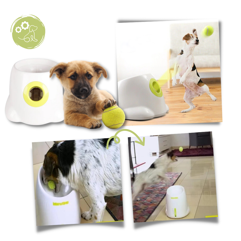 Automatisk ballkaster for hund
 - Ozerty