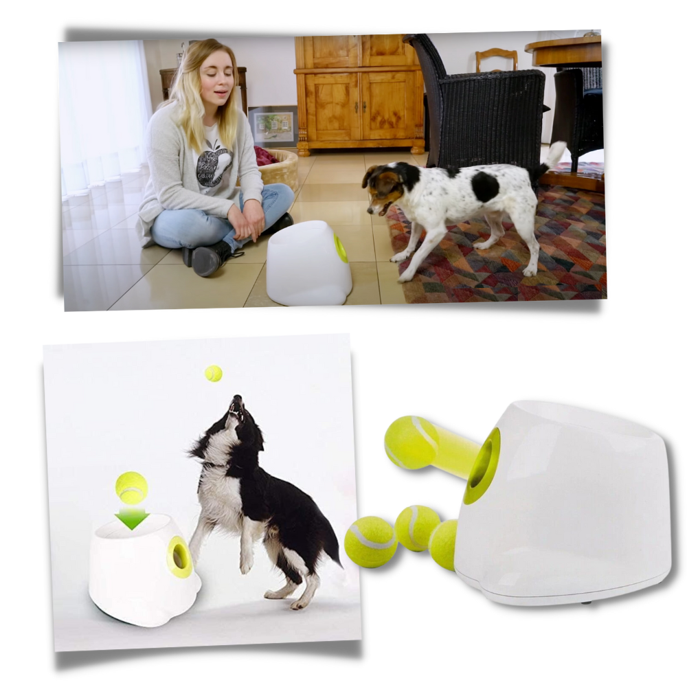 Automatisk ballkaster for hund
 - Ozerty