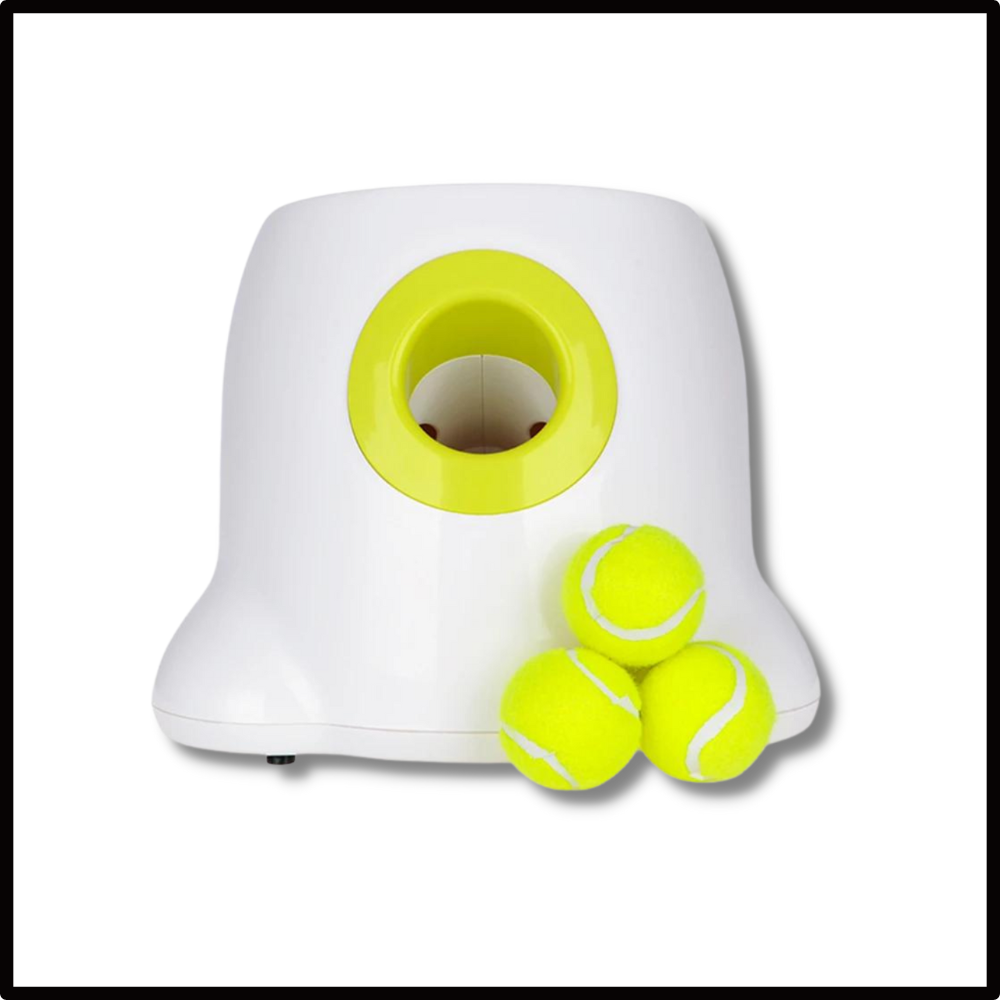 Automatisk ballkaster for hund
 - Ozerty