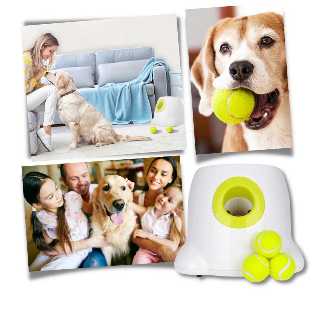 Automatisk ballkaster for hund
 - Ozerty