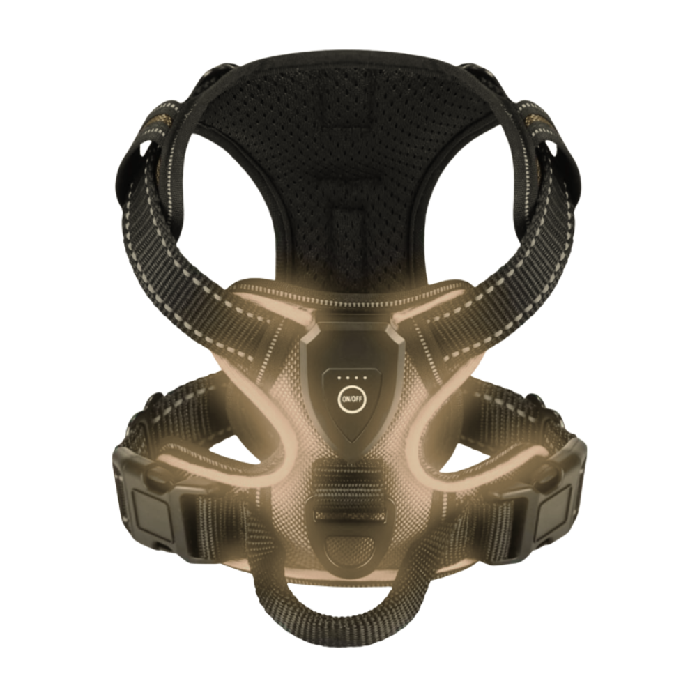 Blinkende LED-Hundesele -Sort - Ozerty