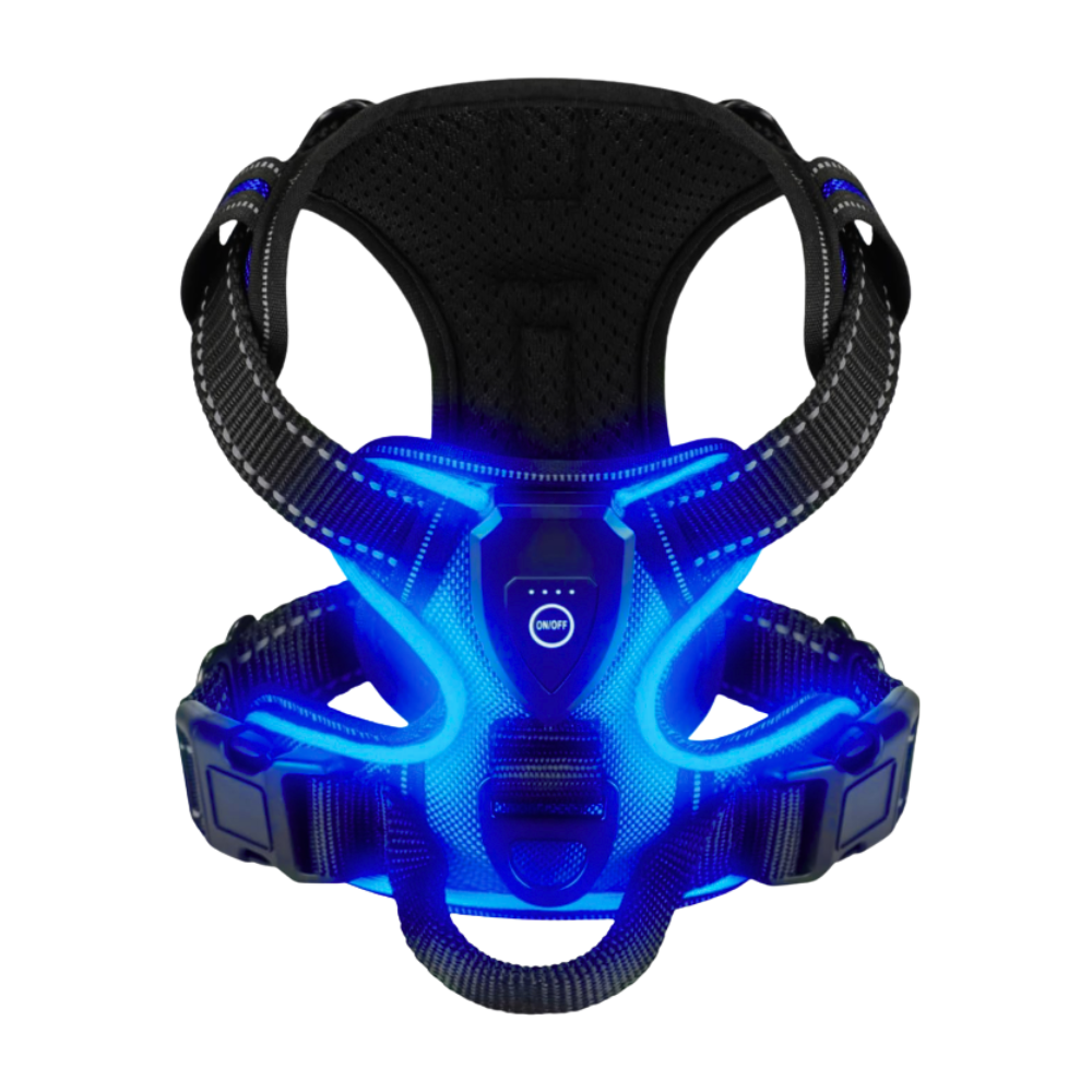 Blinkende LED-Hundesele