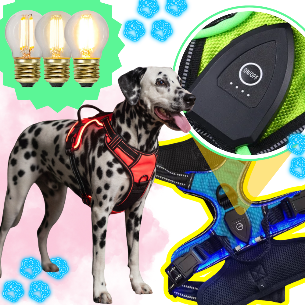 Blinkende LED-Hundesele - Ozerty