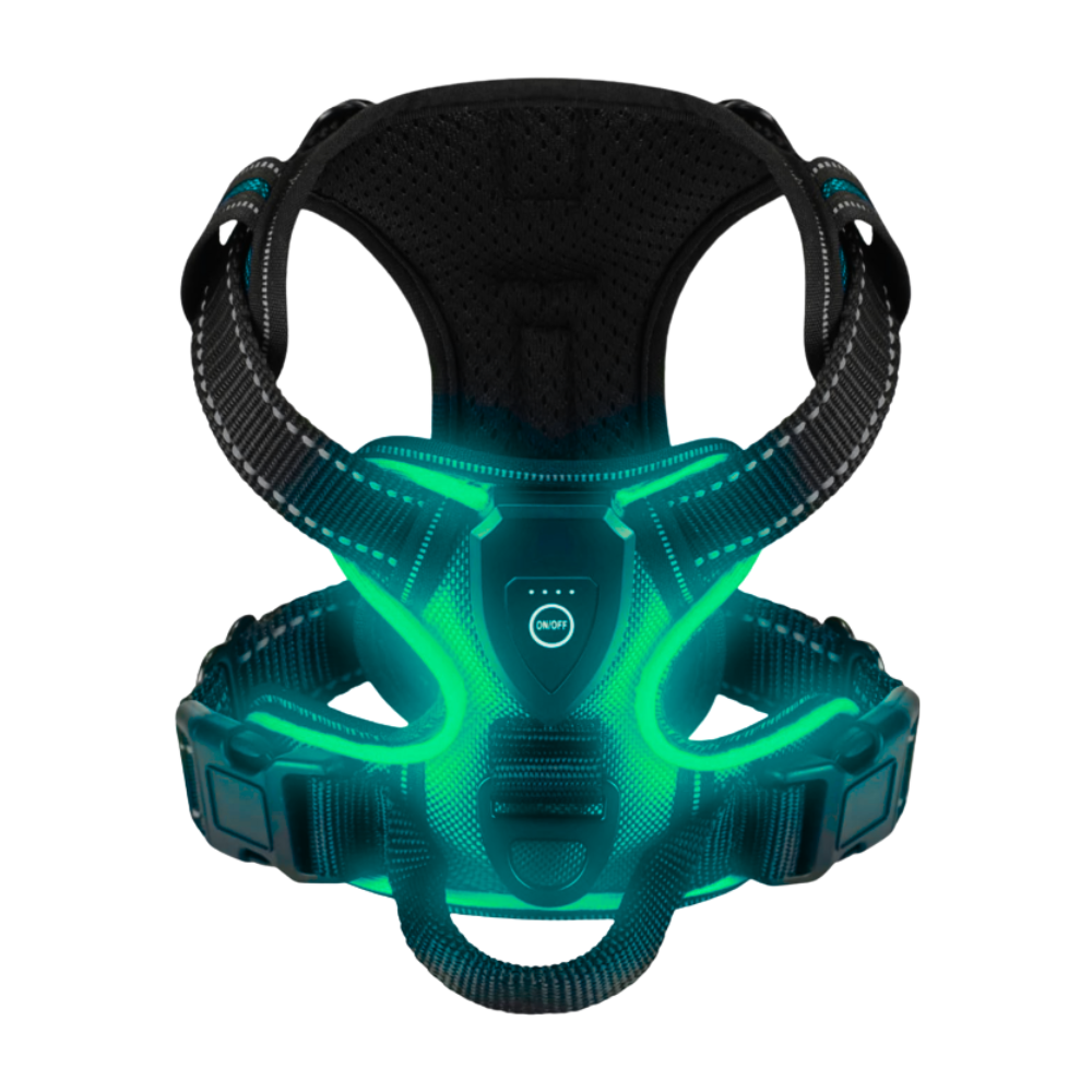 Blinkende LED-Hundesele