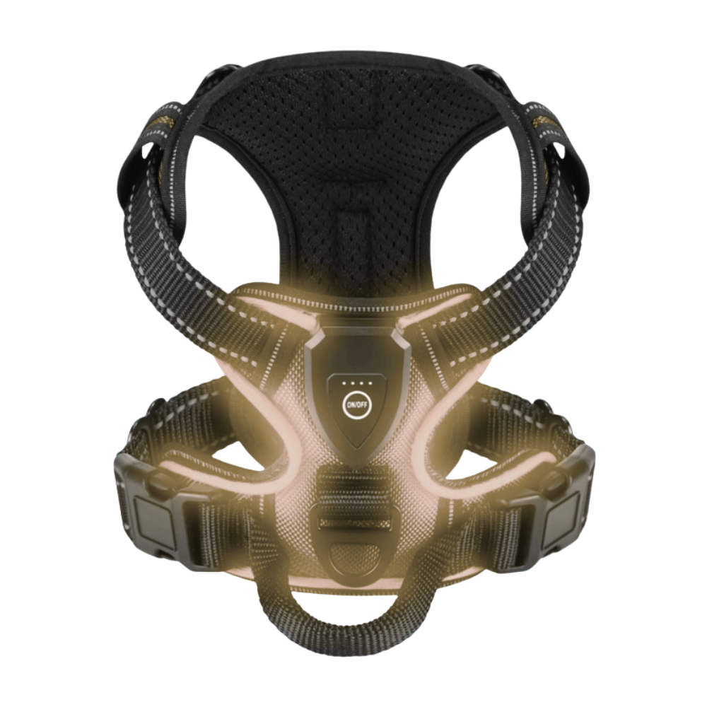 Blinkende LED-Hundesele