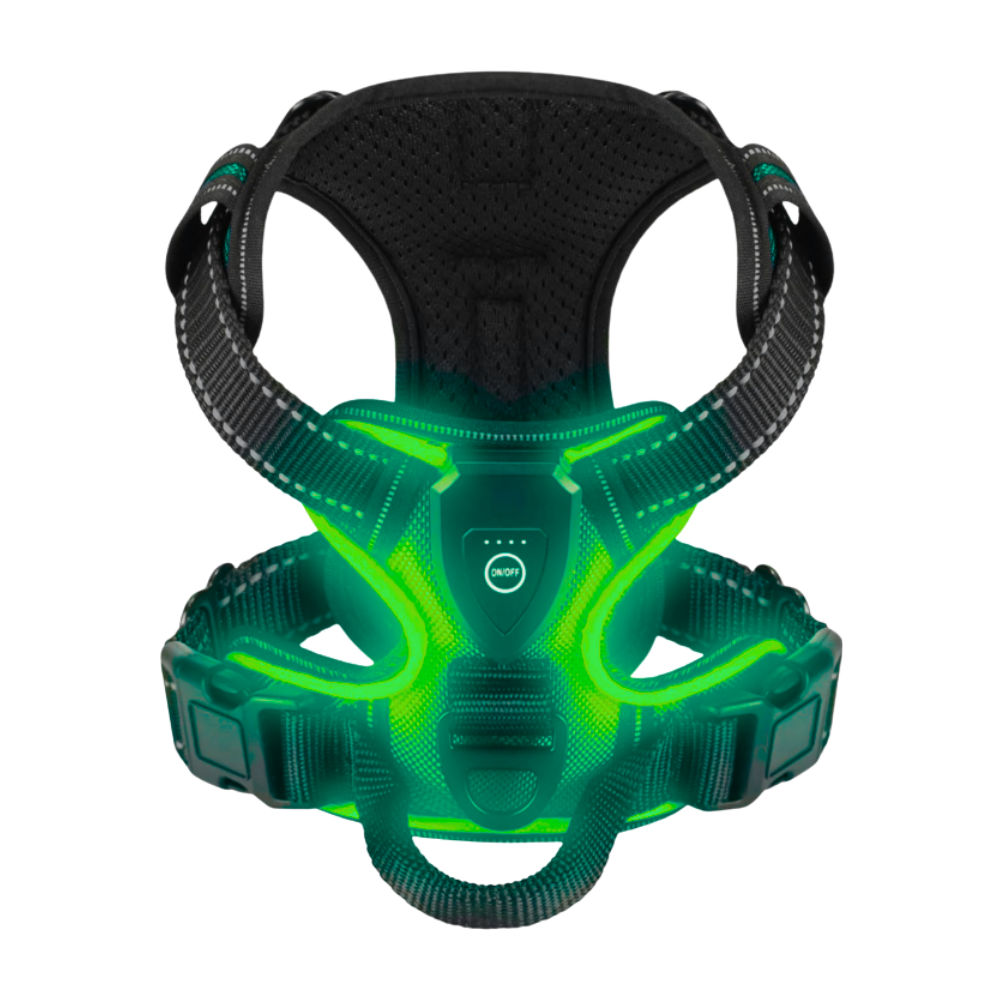 Blinkende LED-Hundesele