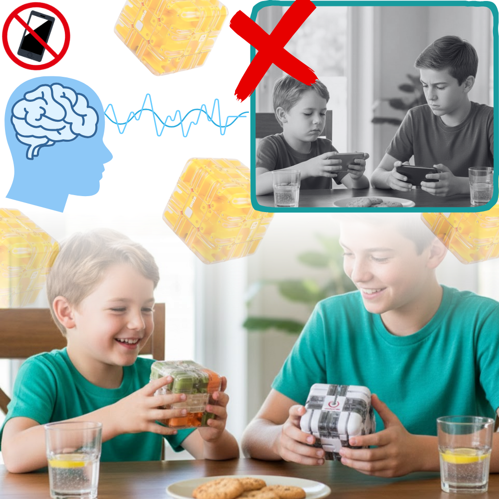 Hjernetrim Labyrintkube - Ozerty