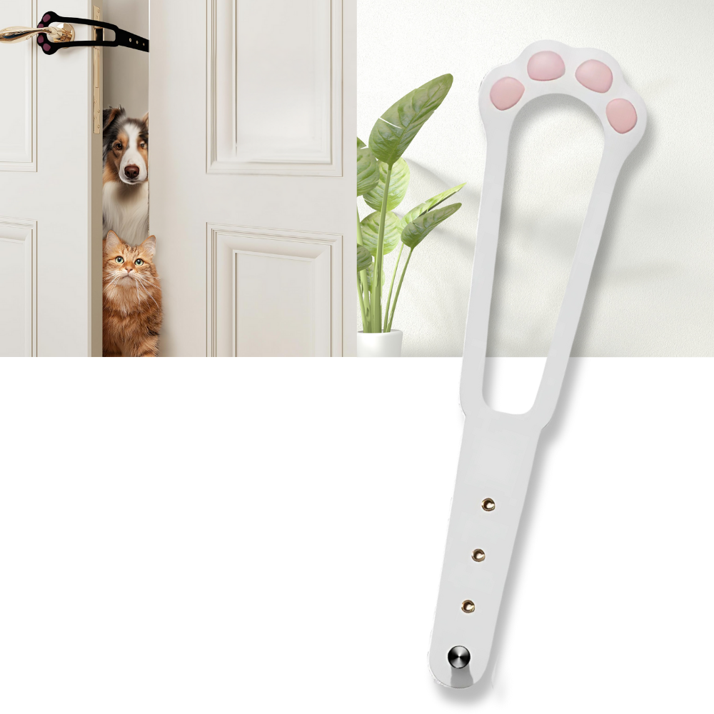 Innovativ Dørlås for Katter - Ozerty