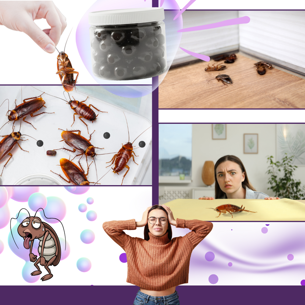 Kakerlakkperler Med Lavendelekstrakt - Ozerty