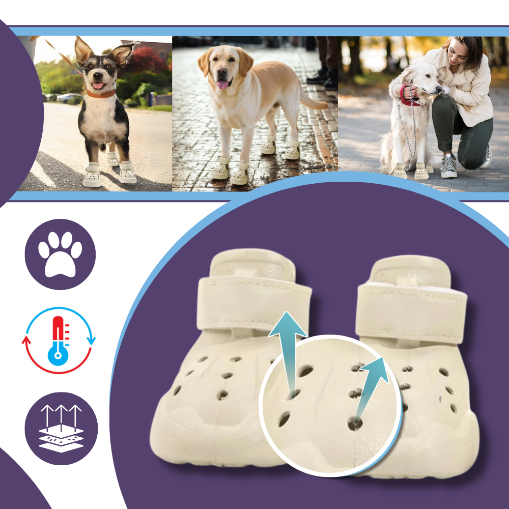 Paw Guard Sko - Ozerty