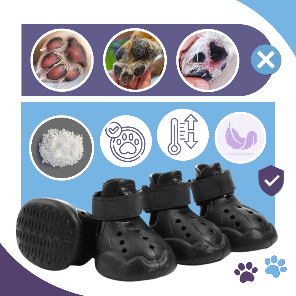 Paw Guard Sko - Ozerty