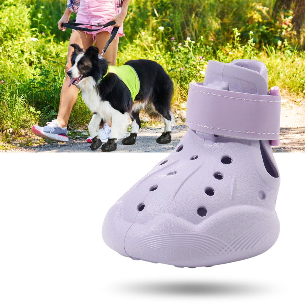 Paw Guard Sko - Ozerty