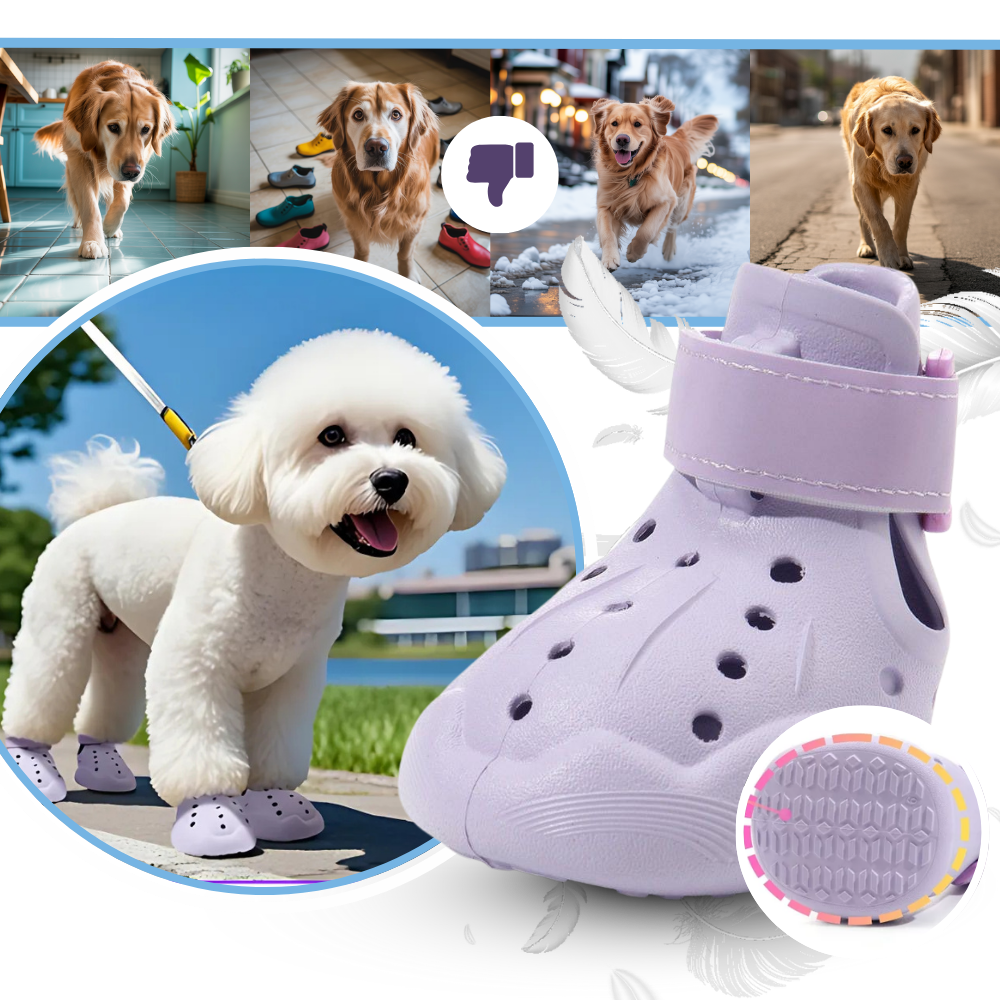 Paw Guard Sko - Ozerty