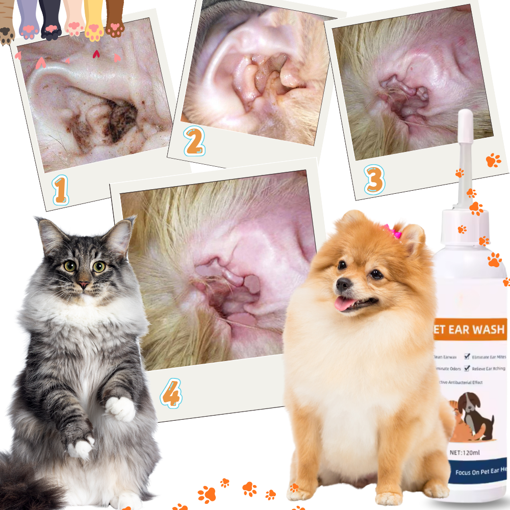 Rengjøringsmiddel med Deodorant til Kjæledyrører - Ozerty