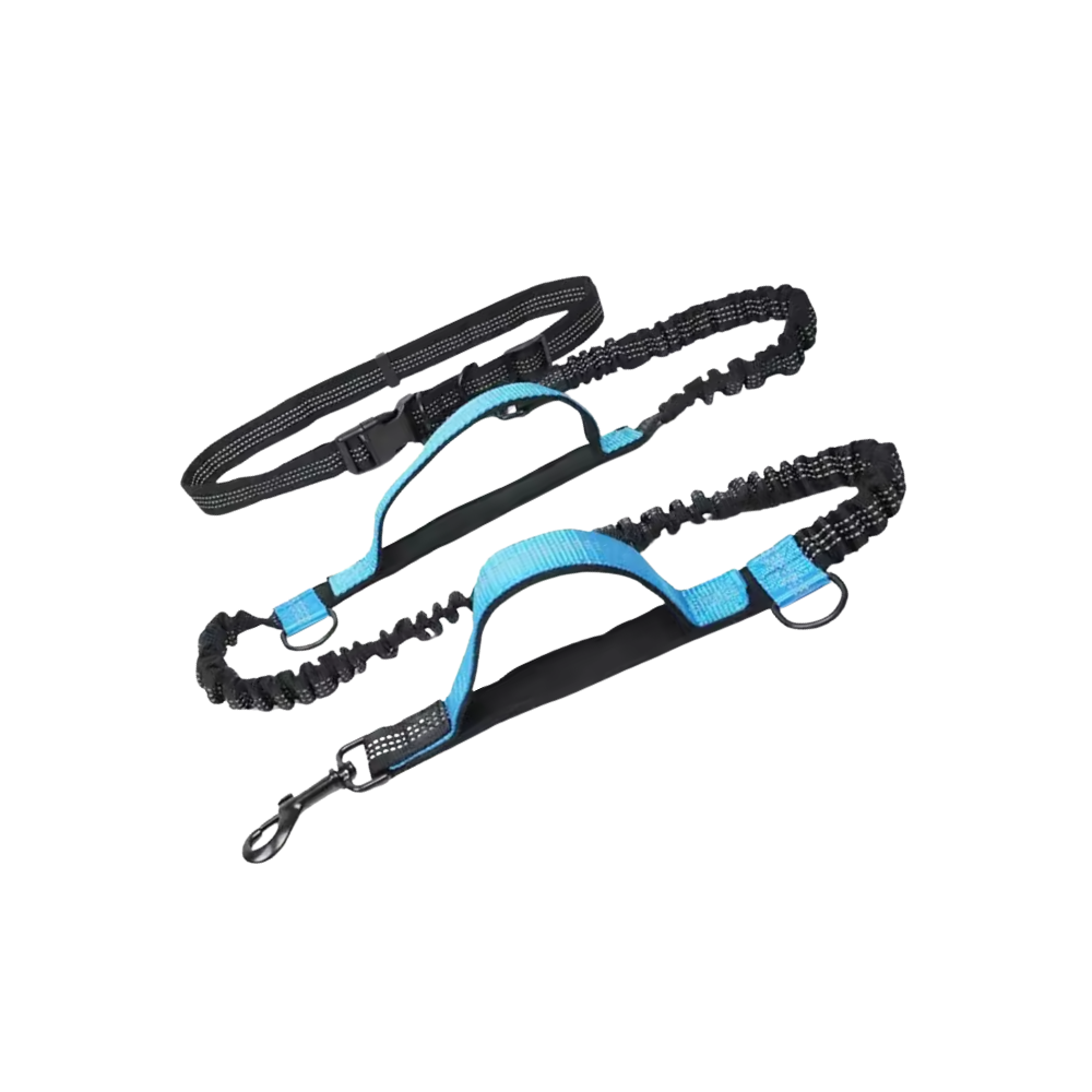 Trygt og Ergonomisk Midjebånd for Hunder -Blå - Ozerty