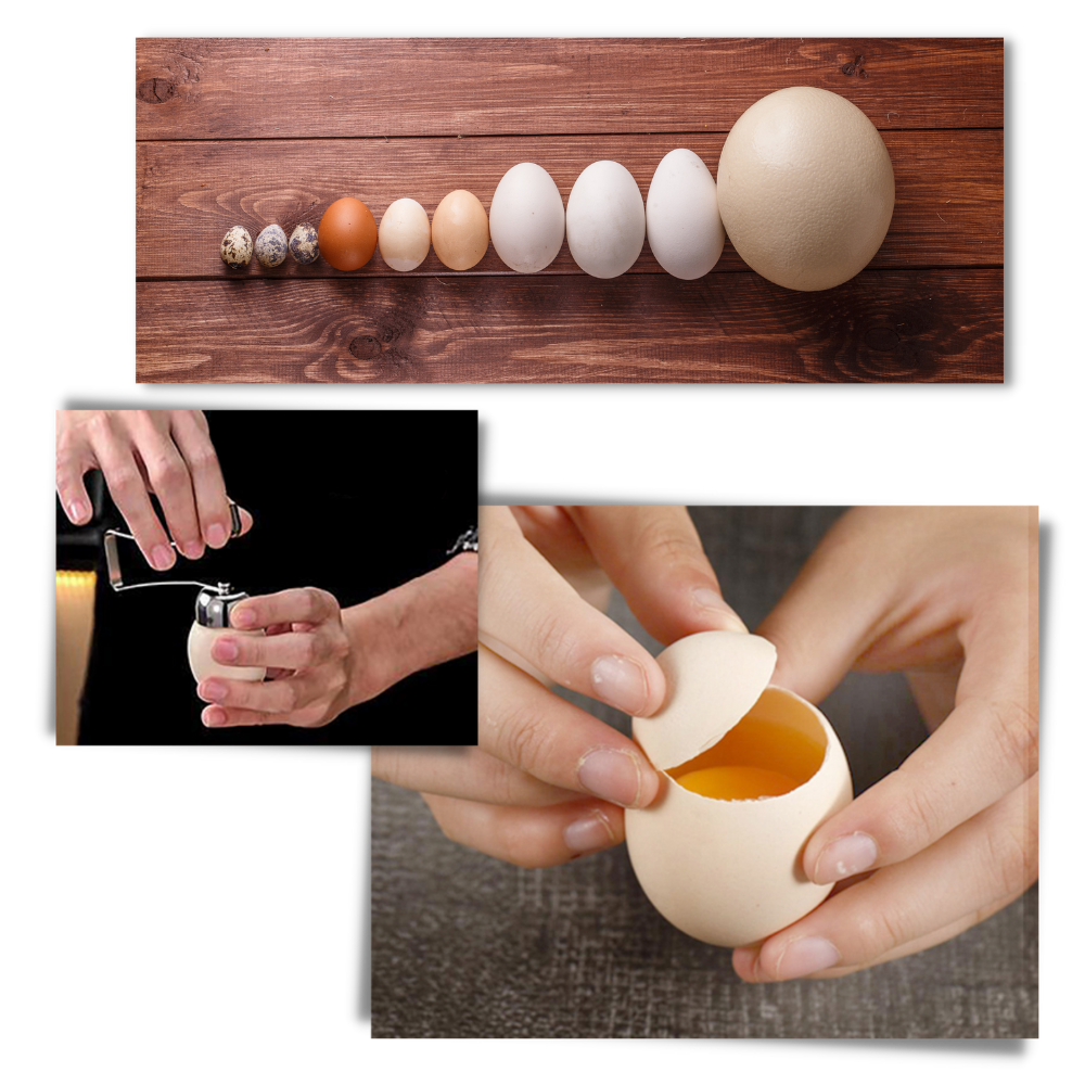Eggeskallåpner  - Ozerty