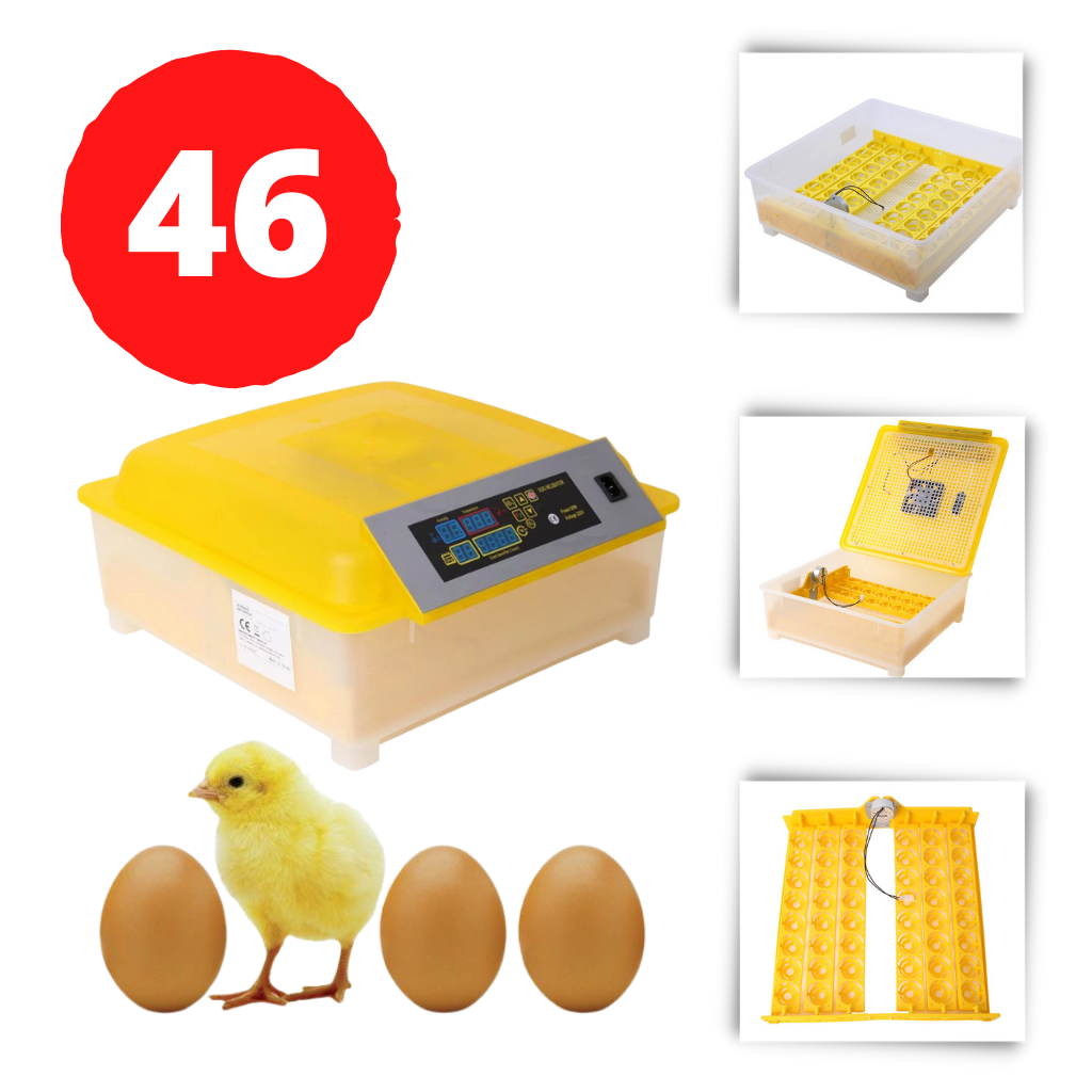 Automatisk egginkubator til 48 egg  - Ozerty