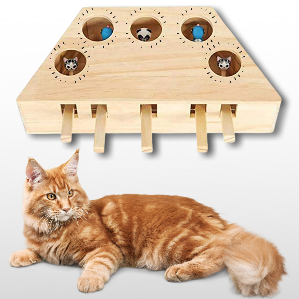 Interaktiv katteleke i tre med 5 hull - Ozerty
