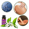 Buttock Enhancement Oil - Ozerty
