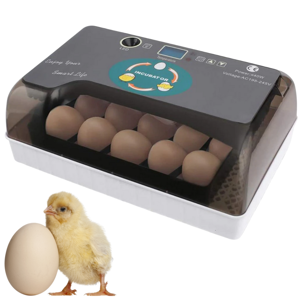 Digital automatisk egginkubator - Ozerty