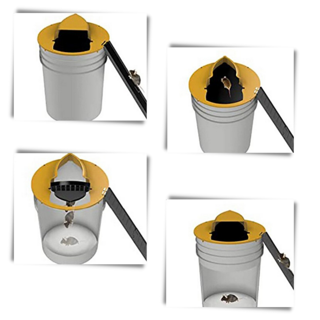 https://ozerty-norge.com/cdn/shop/products/Humane_Bucket_Rat_and_Mice_Trap_-_Easy_to_set_up_and_use_1024x.png?v=1639618221