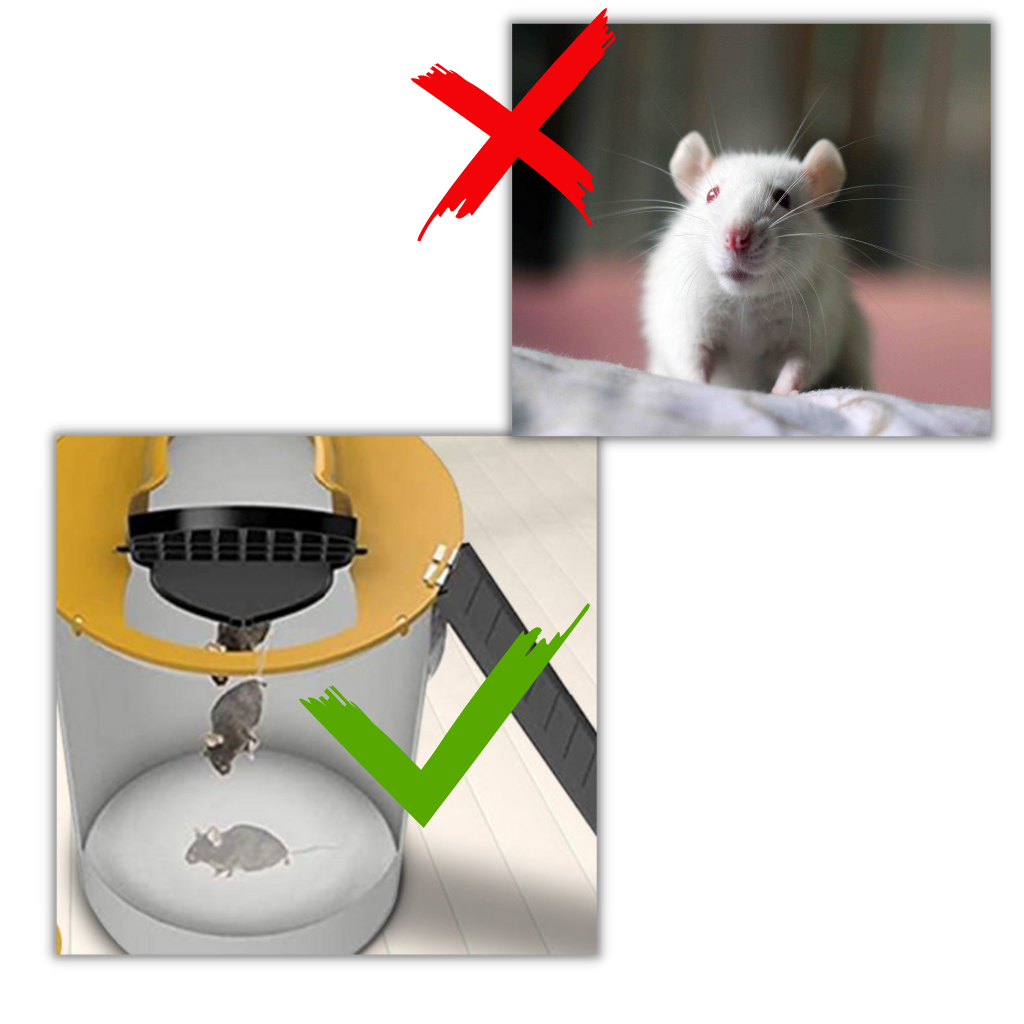 https://ozerty-norge.com/cdn/shop/products/Humane_Bucket_Rat_and_Mice_Trap_-_Humane_rat_and_mouse_trap_8fbd52eb-3c01-4848-9214-a26d2a819d08_1024x.png?v=1639618221